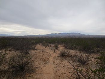 BLM Desert